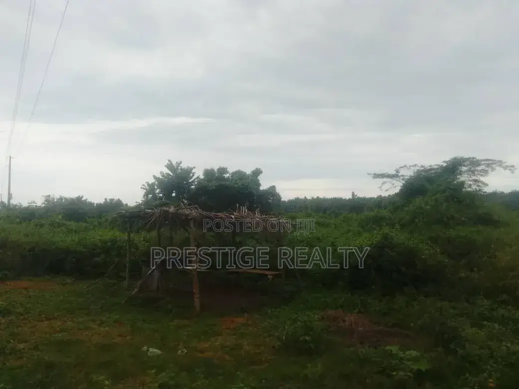 27 Acres of Land for Sale at Lagun, Ibadan