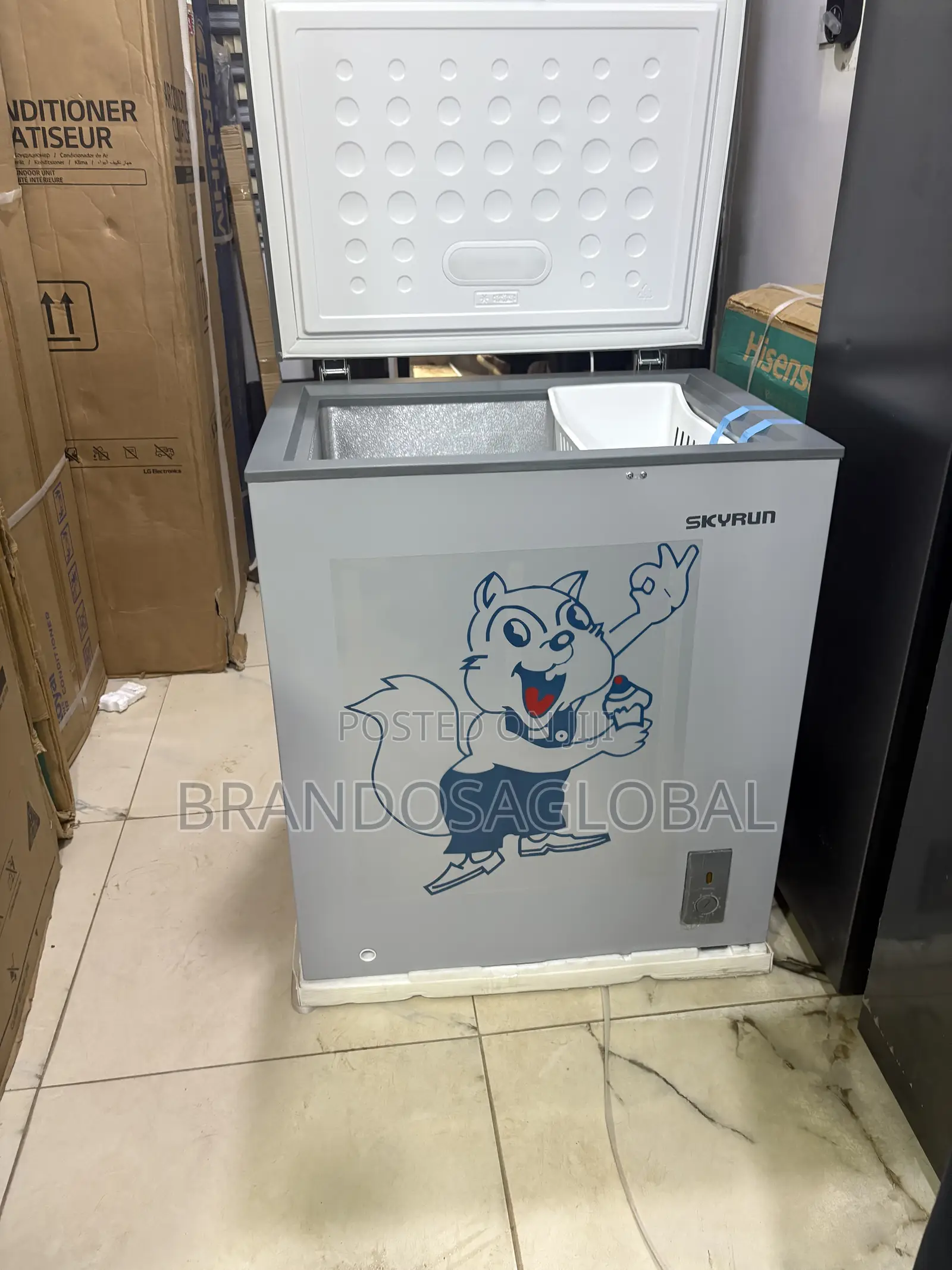 Skyrun BD-180 Frozen Food Freezer