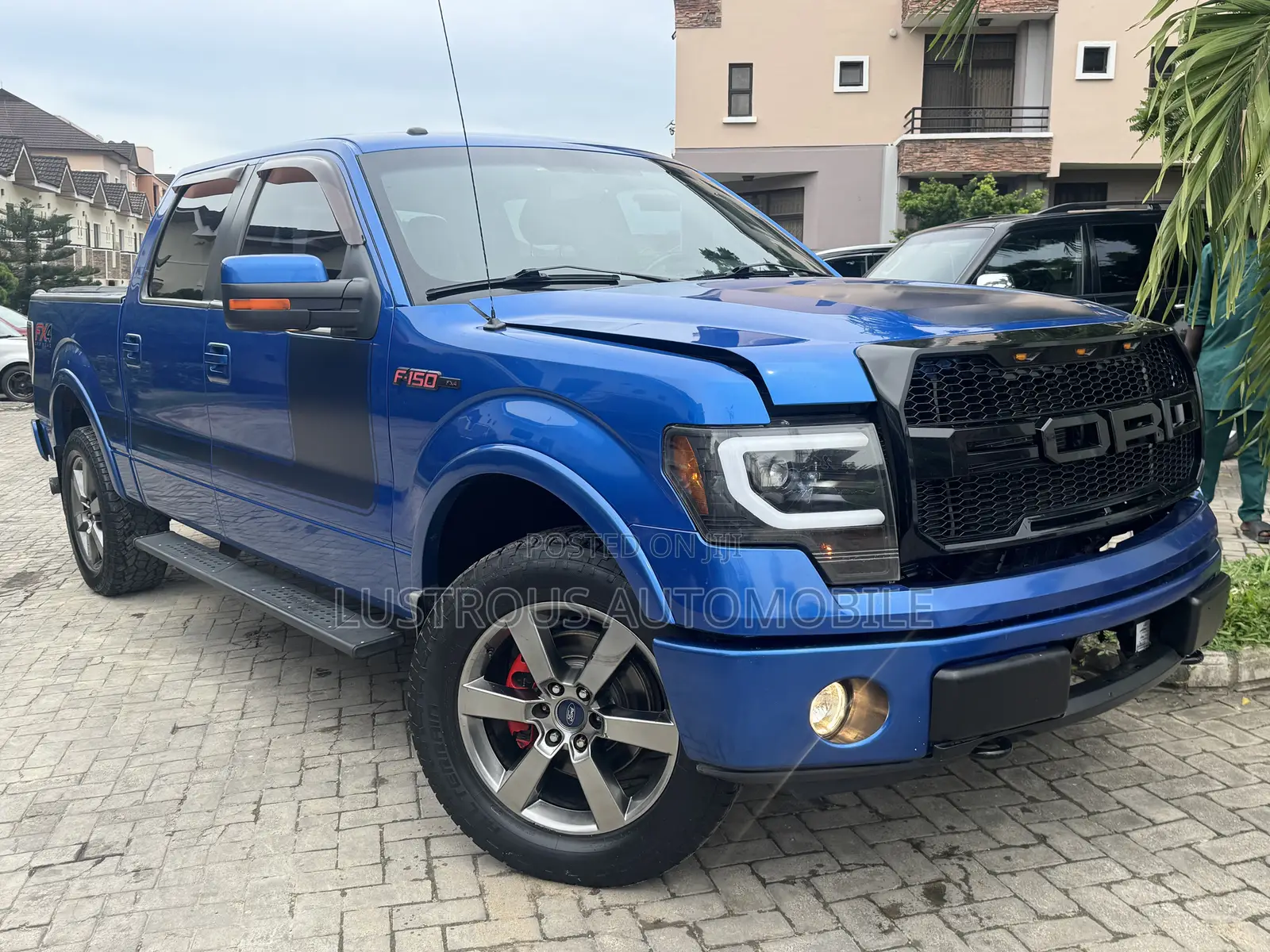 Ford F-150 FX4 2013 Blue