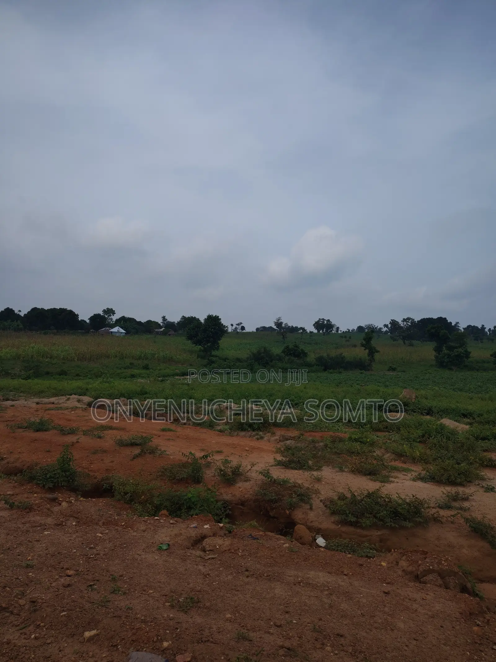 180SQM Estate Residential Land With R of O