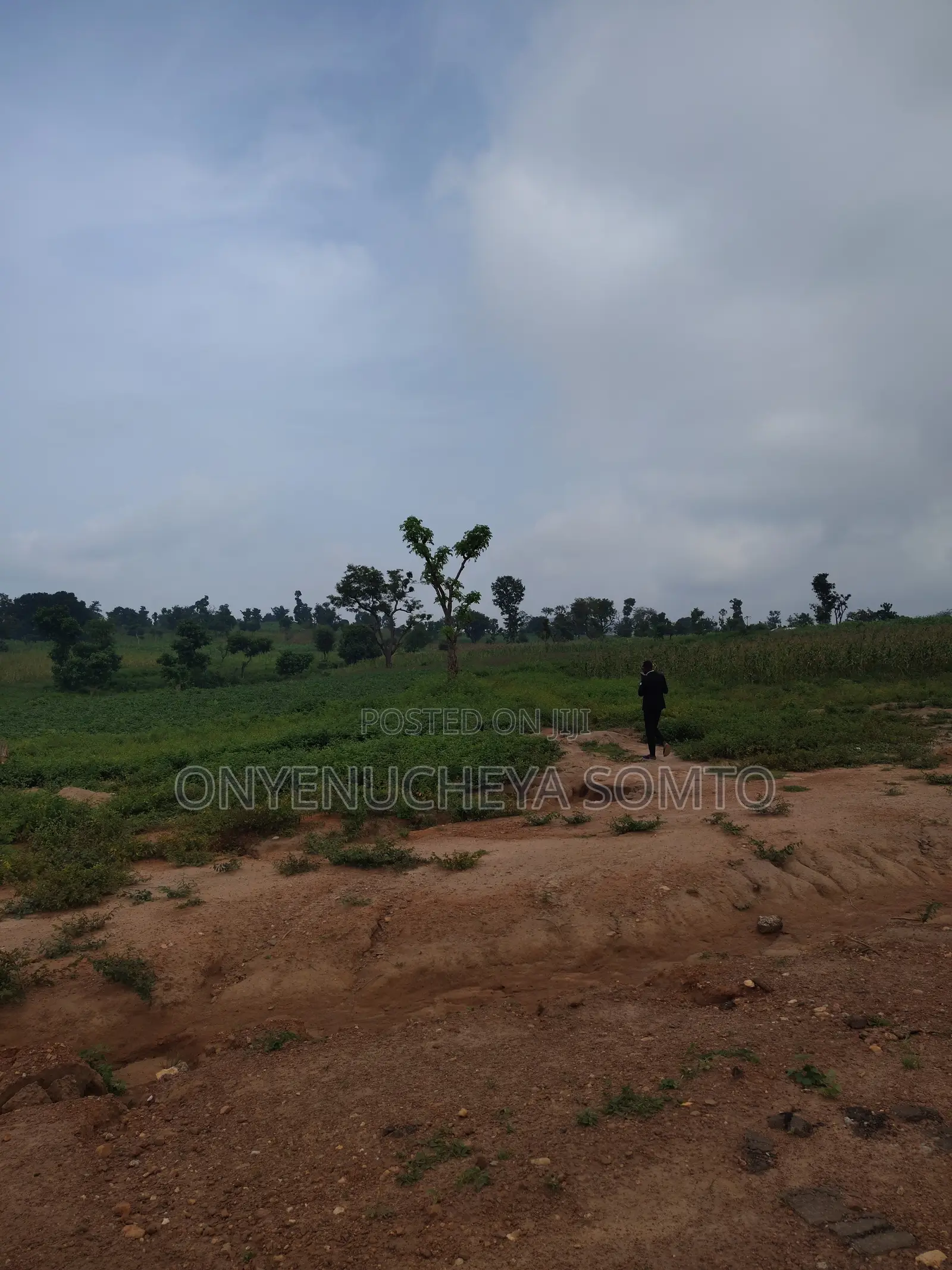 250SQM Estate Residential Land With R of O