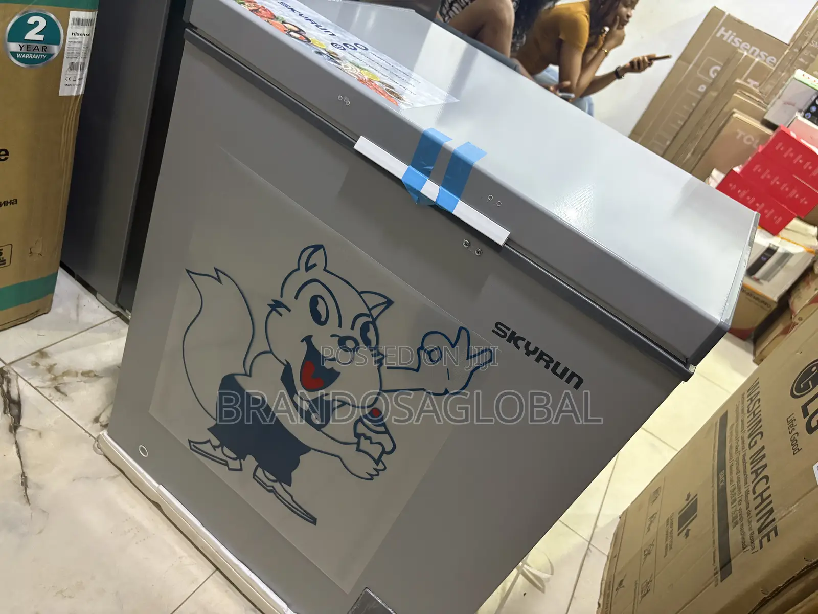 Skyrun BD-180 180L Frozen Goods Freezer