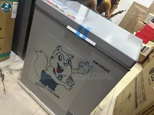 Skyrun BD-180 180L Frozen Goods Freezer