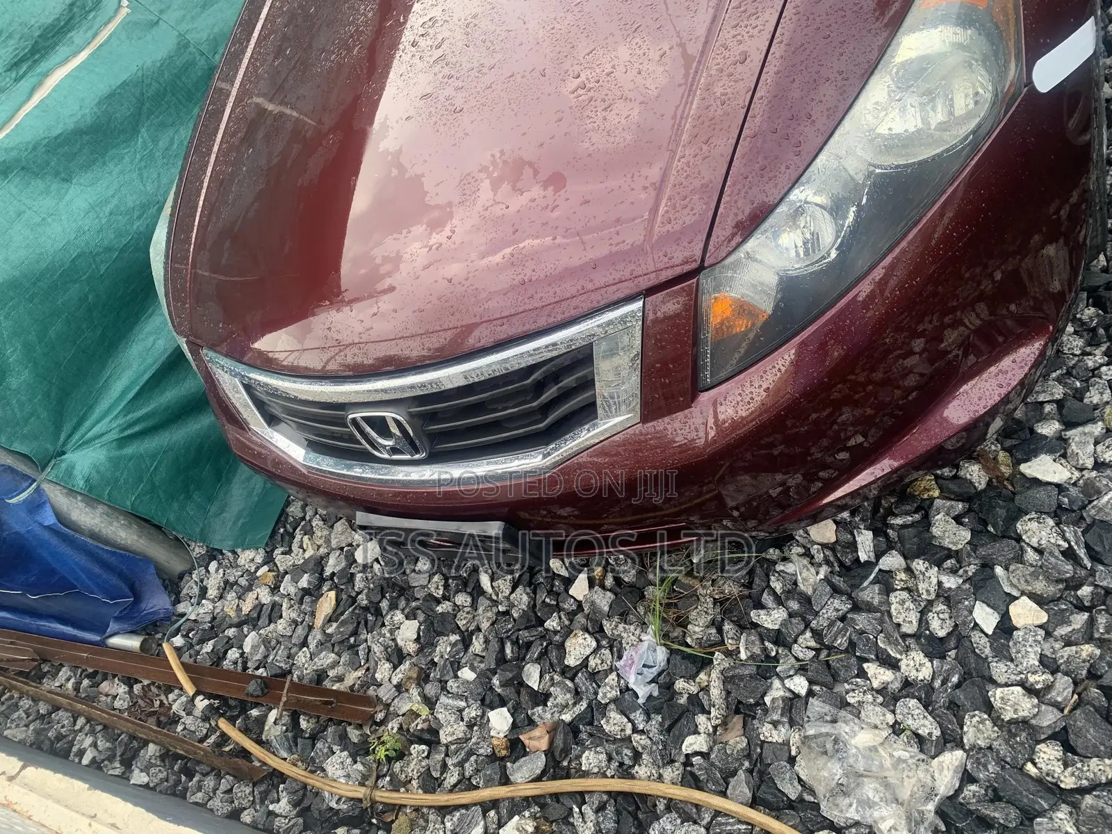 Honda Accord Sedan EX-L 2010 Maroon