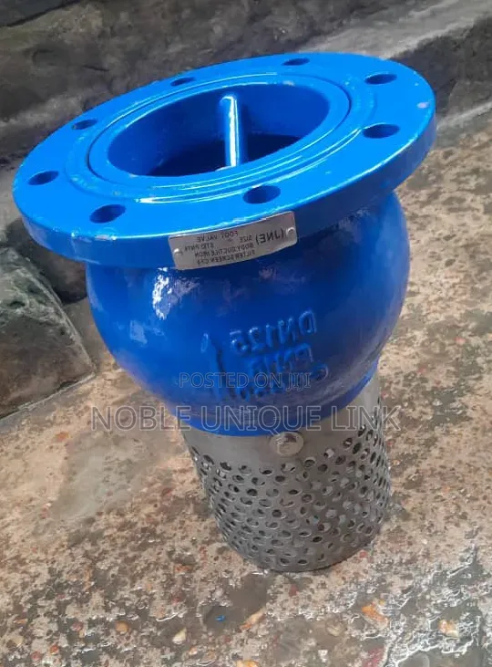 5" Inches Flange Iron Foot Valve