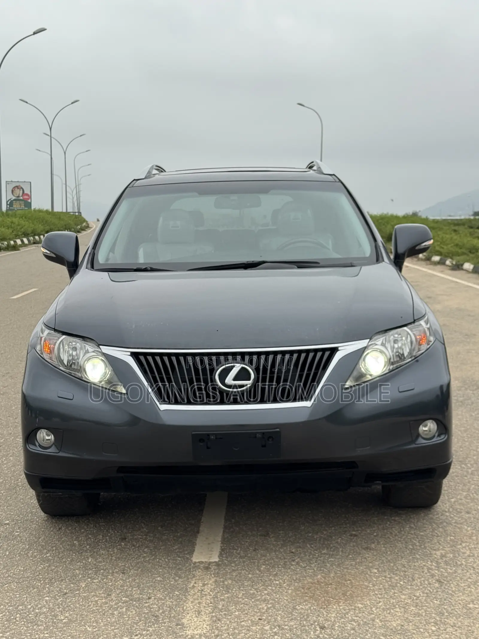 Lexus RX 350 2010 Gray