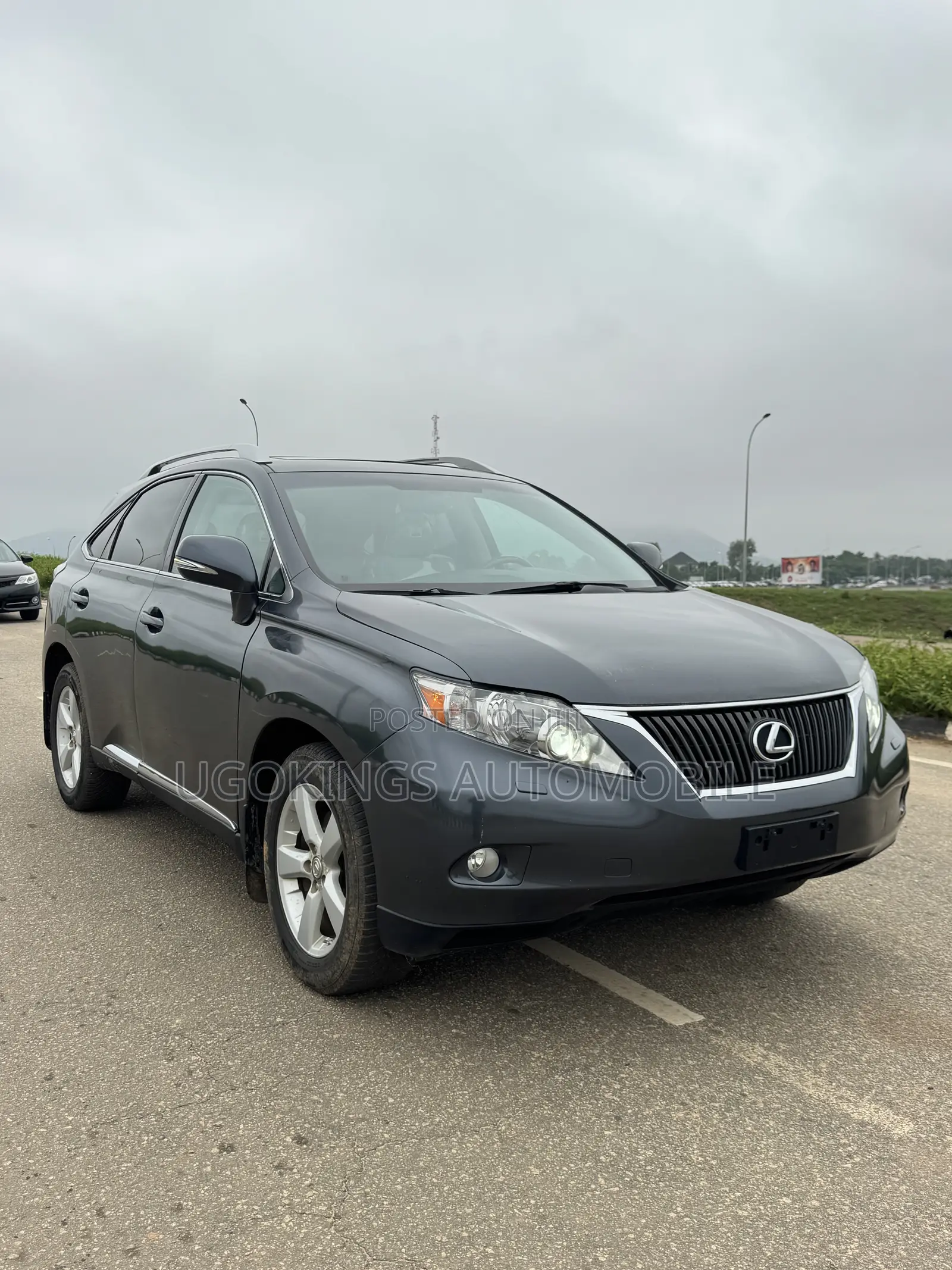 Lexus RX 350 2010 Gray