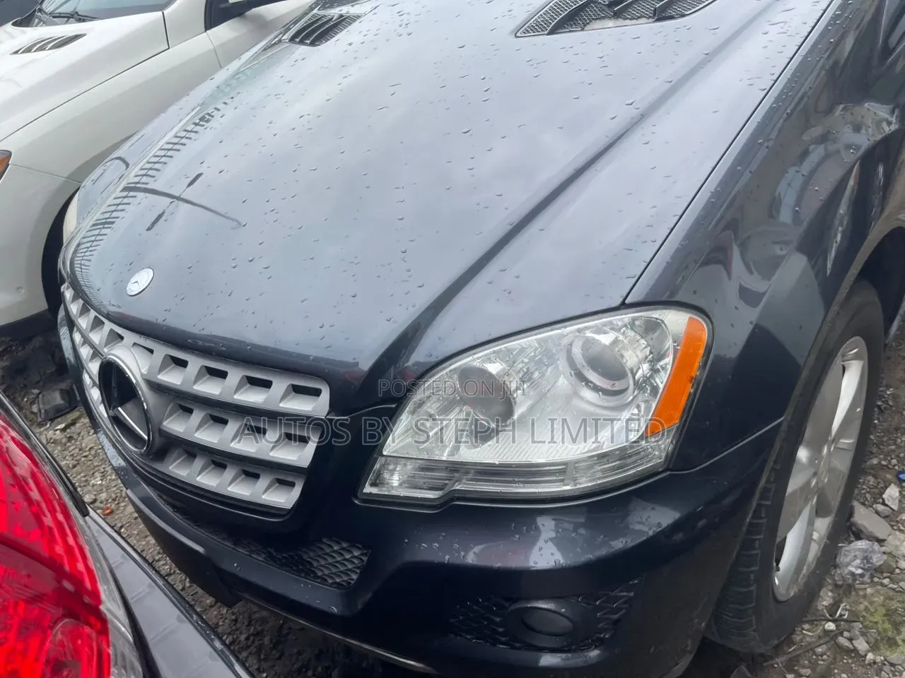 Mercedes-Benz M Class 2010 Gray