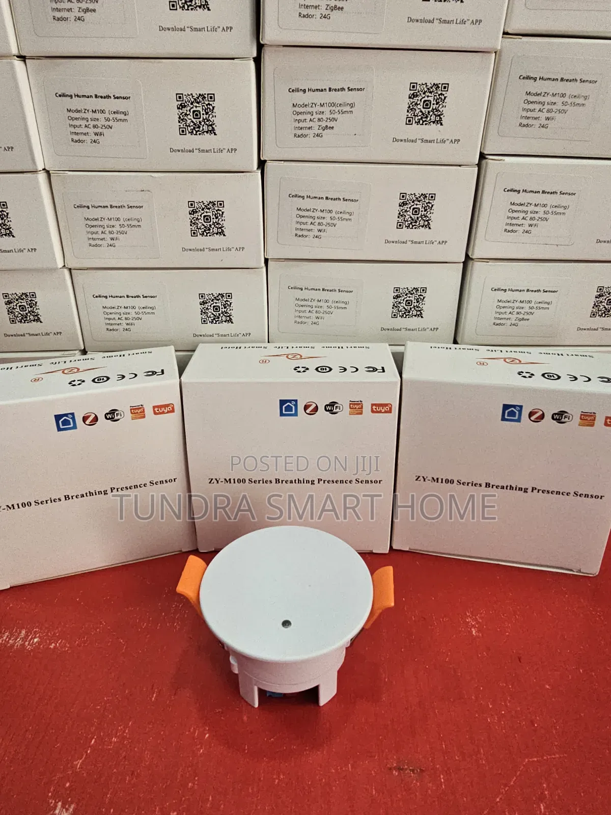 Human Presence Sensor
