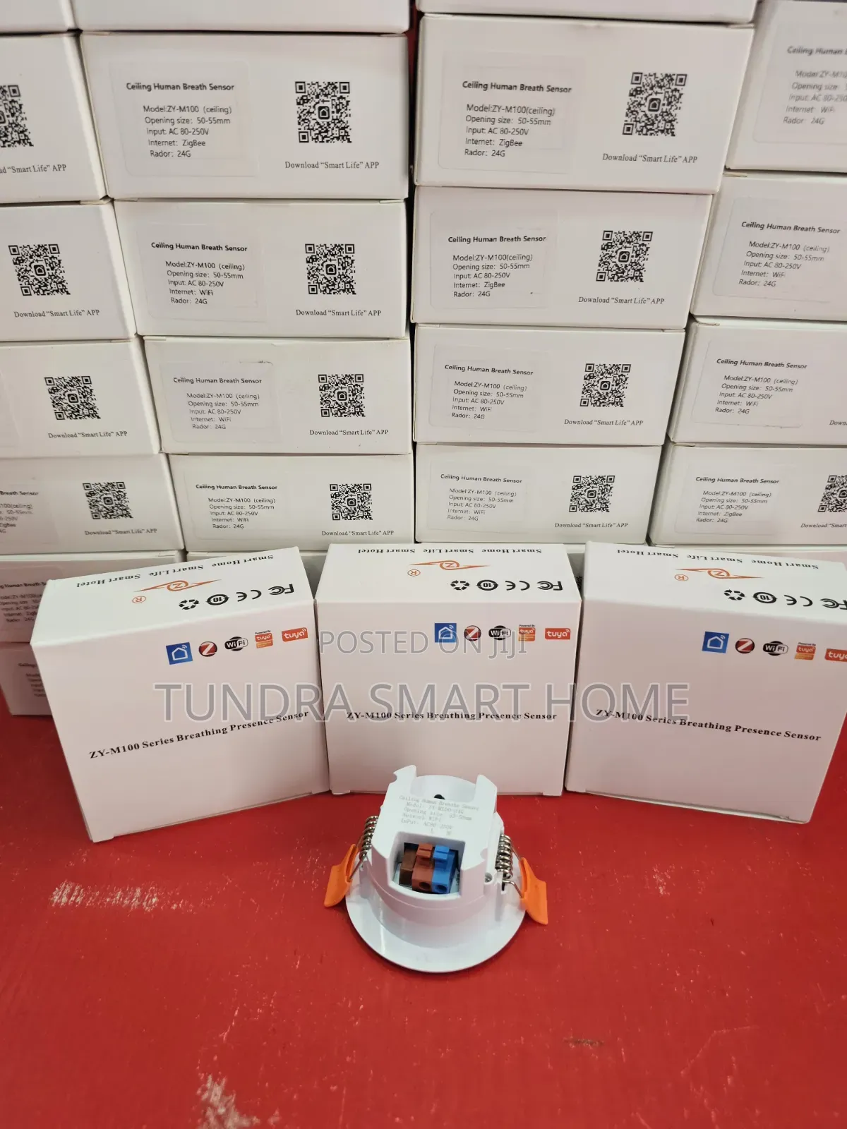 Human Presence Sensor