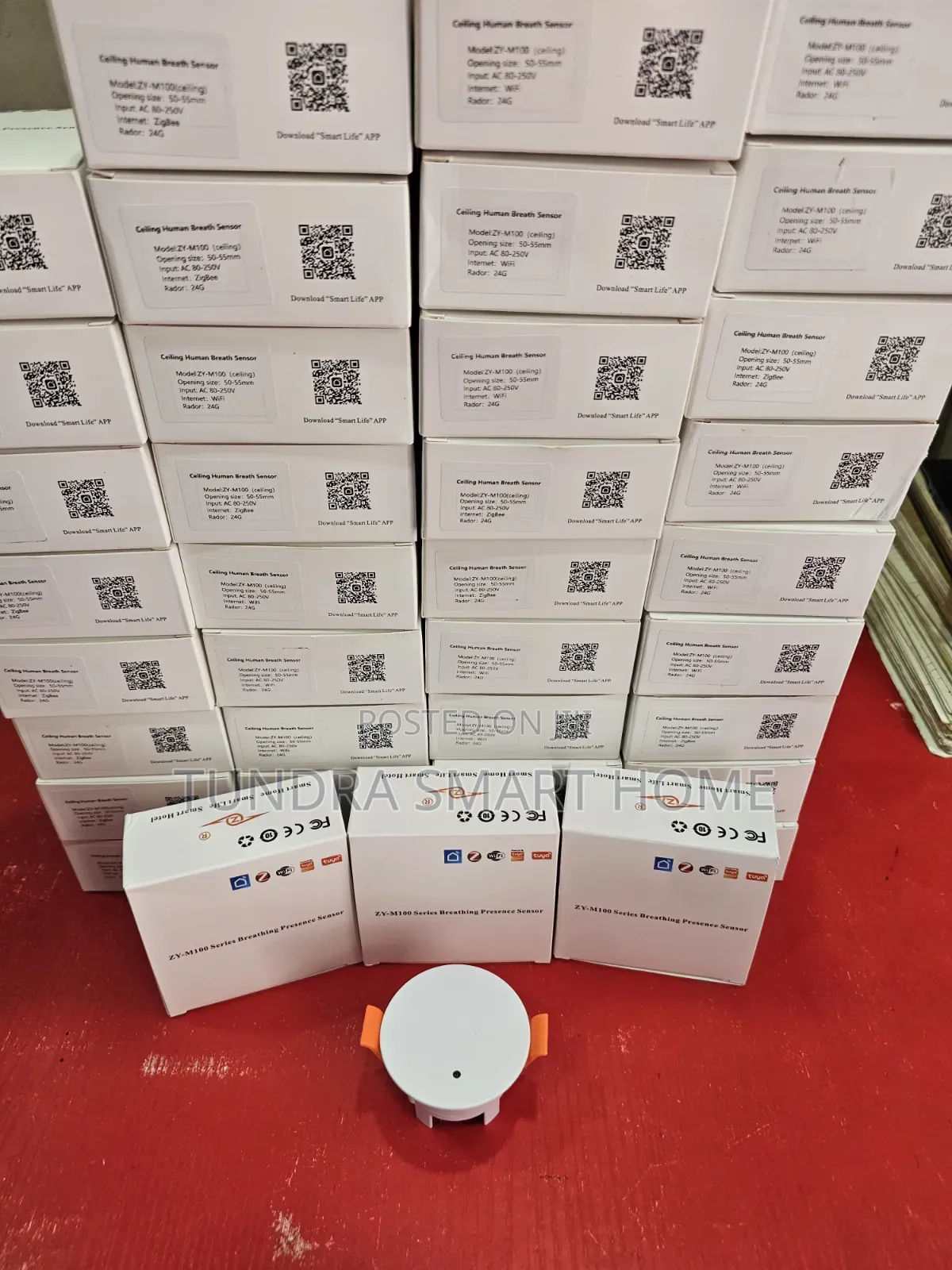Human Presence Sensor