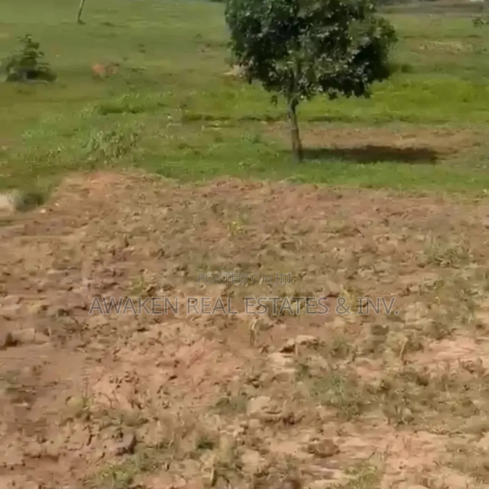 100.98 Hectares for Sale