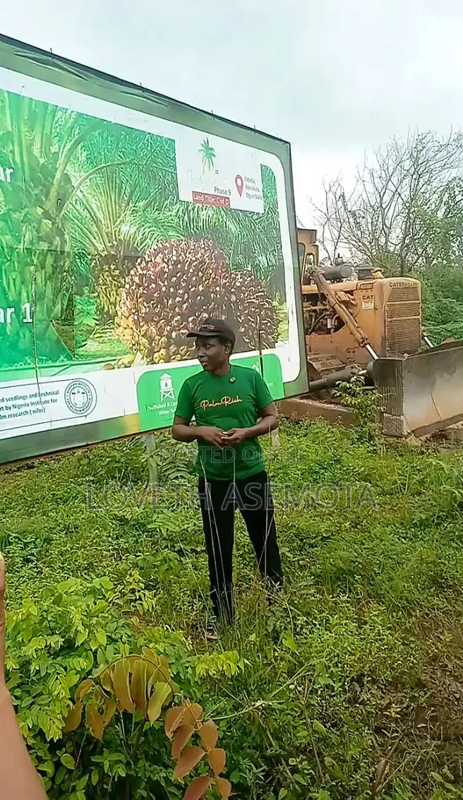 Acre Oil Palmrich Phase 9 in Odeda, Ogun State