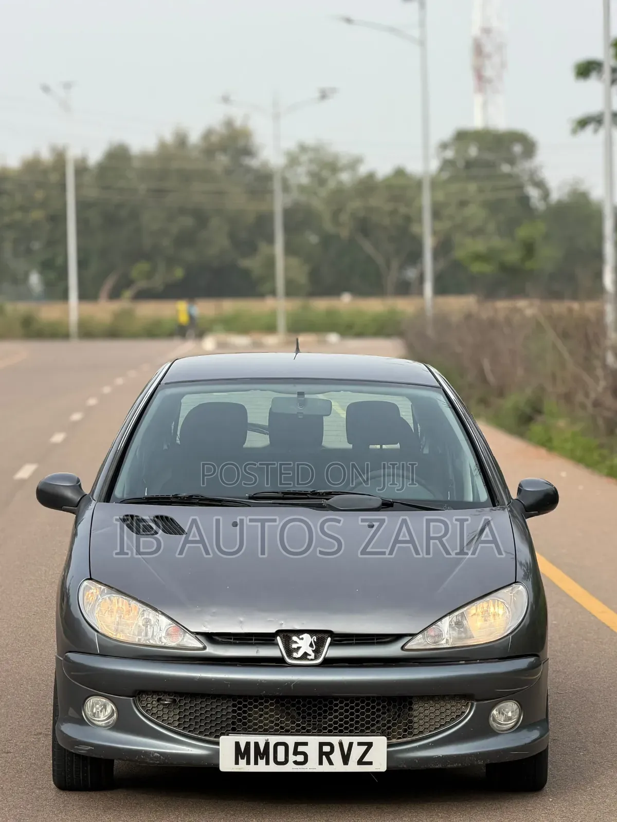 Peugeot 206 2004 Silver