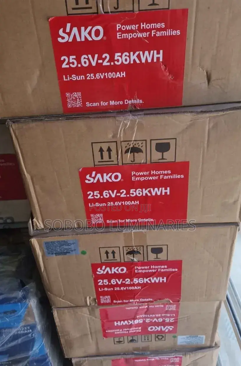 2.5kwh 24v Sako Ion Lithium Battery