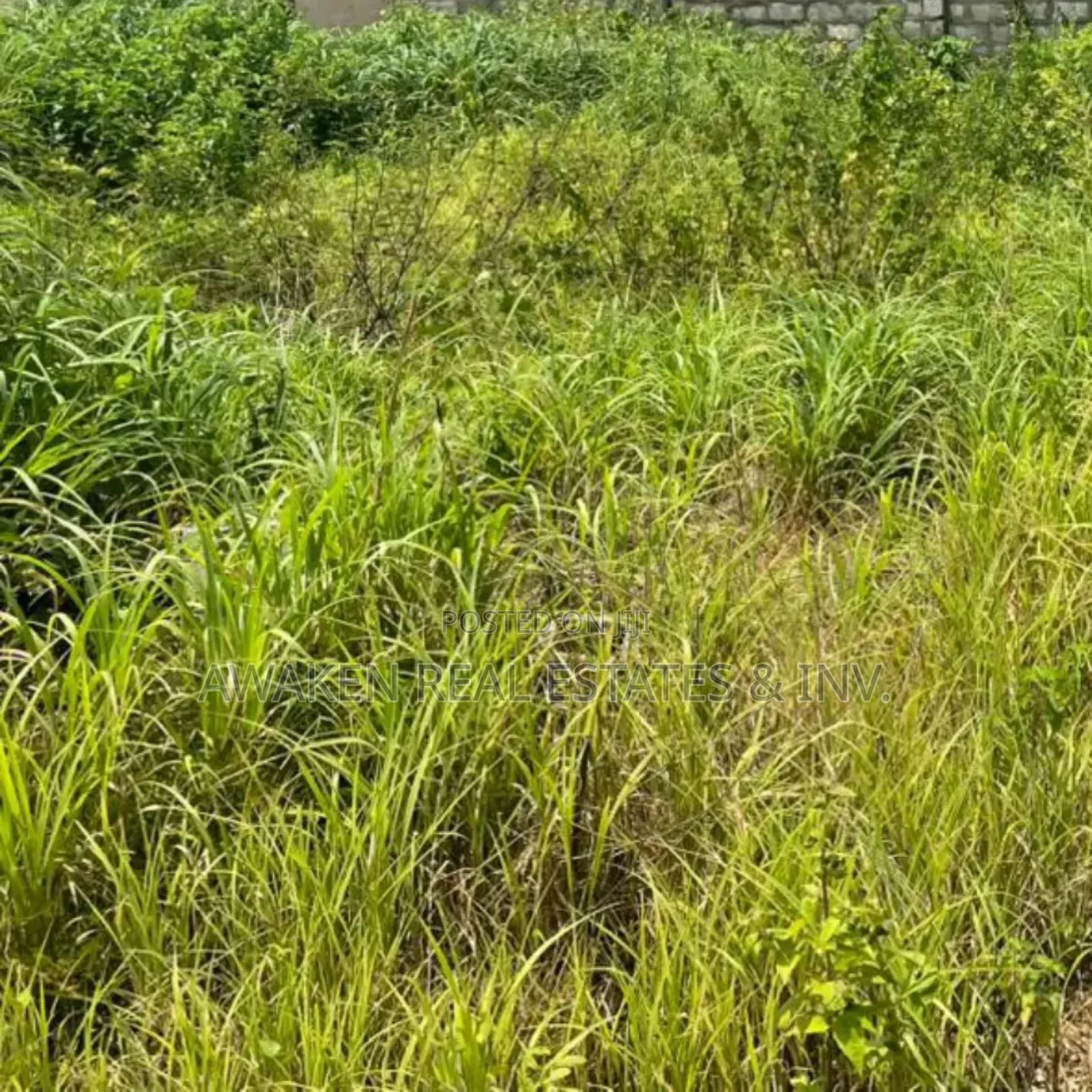 100.98 Hectares for Sale