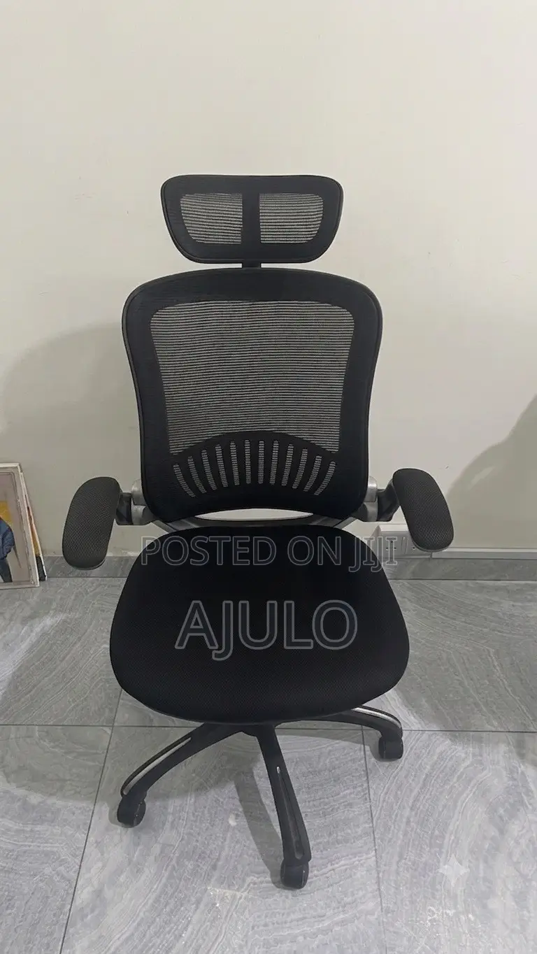 Reclinable Ergonomic Office Chair With Adjustable Headrest and Armrest