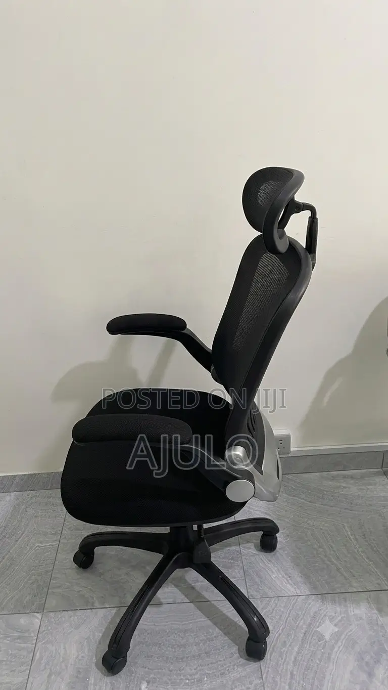Reclinable Ergonomic Office Chair With Adjustable Headrest and Armrest