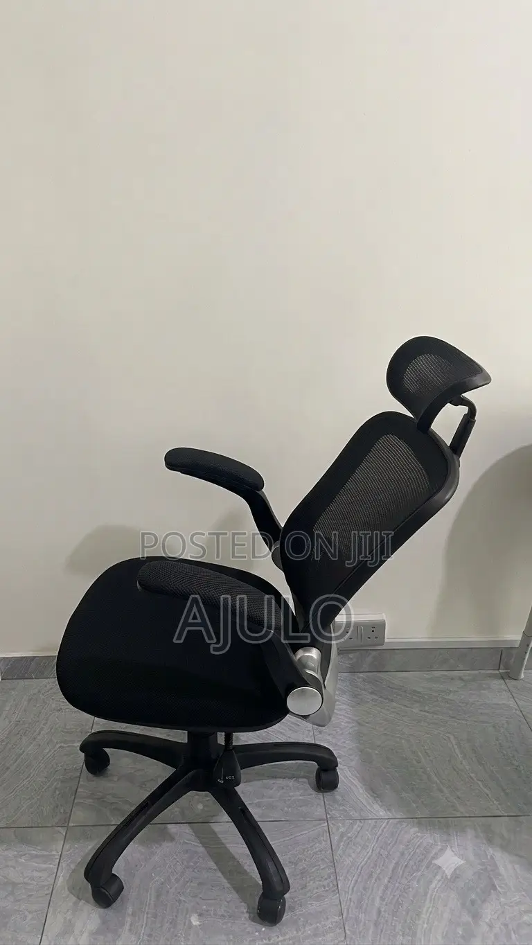 Reclinable Ergonomic Office Chair With Adjustable Headrest and Armrest