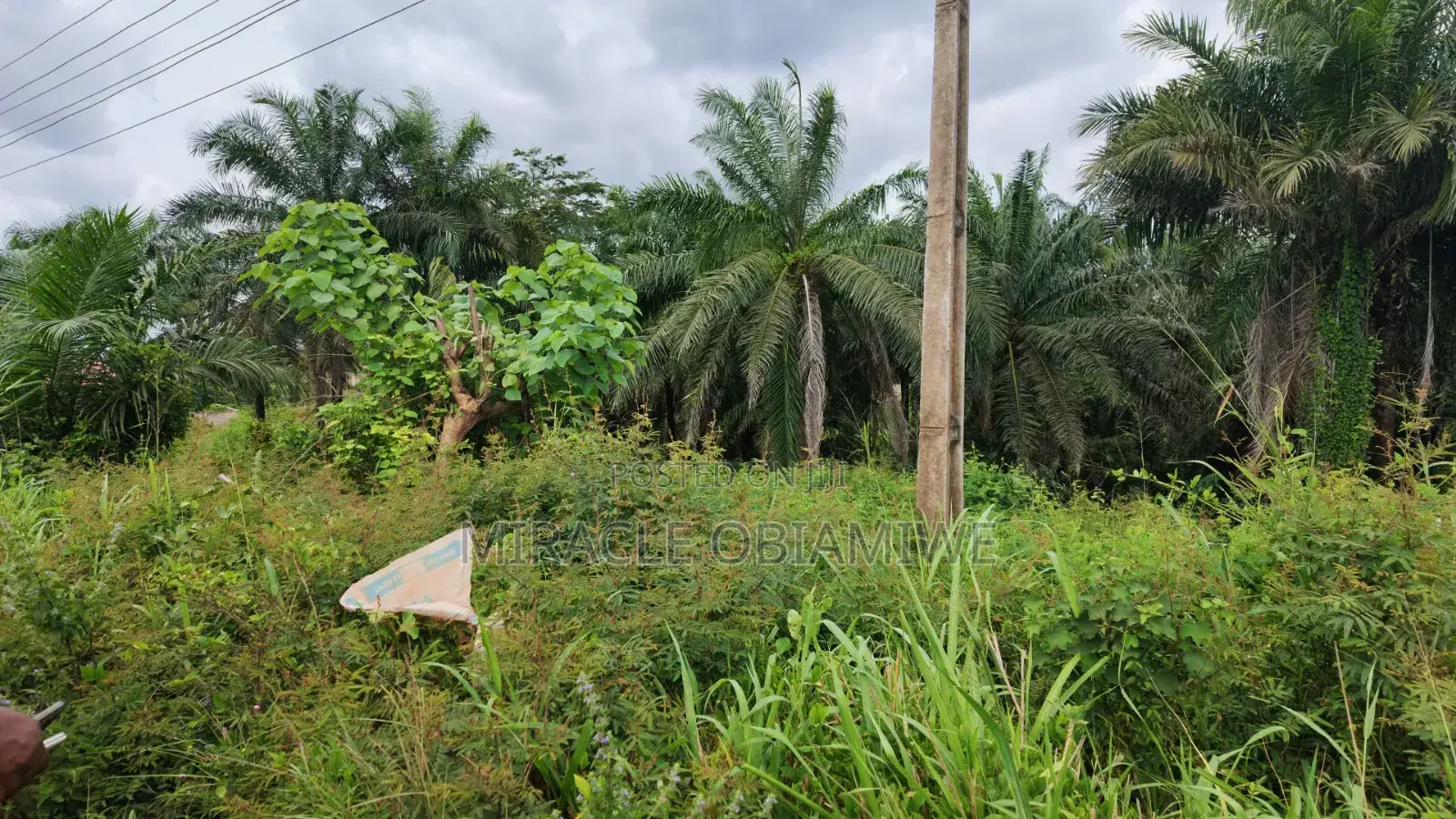 58 Plots of Land for Sale Umuahia Abia State