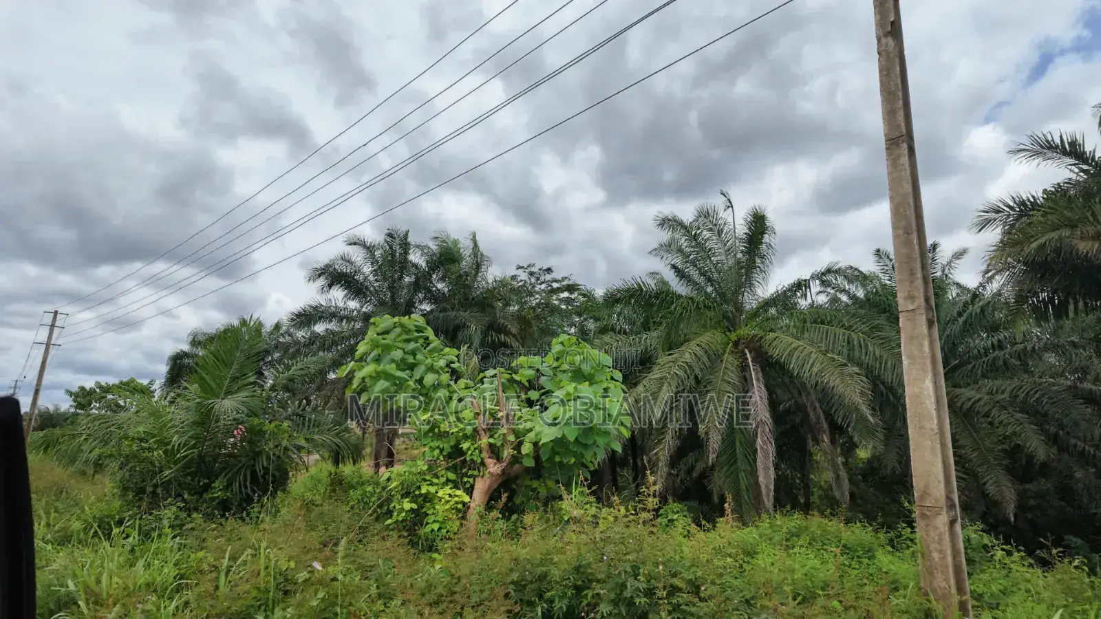 58 Plots of Land for Sale Umuahia Abia State