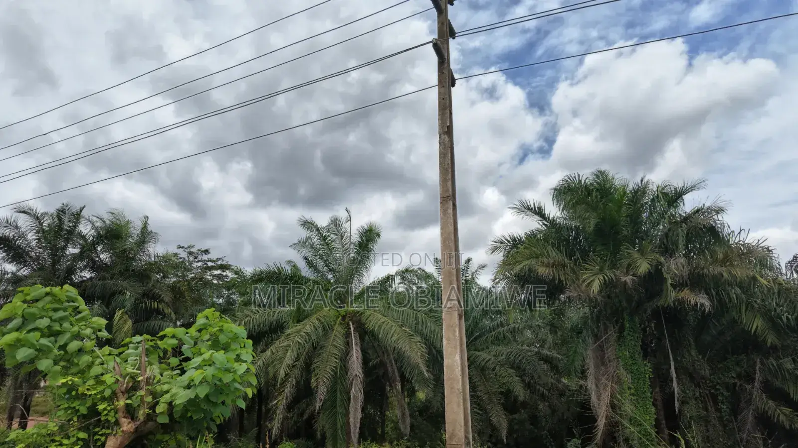 58 Plots of Land for Sale Umuahia Abia State