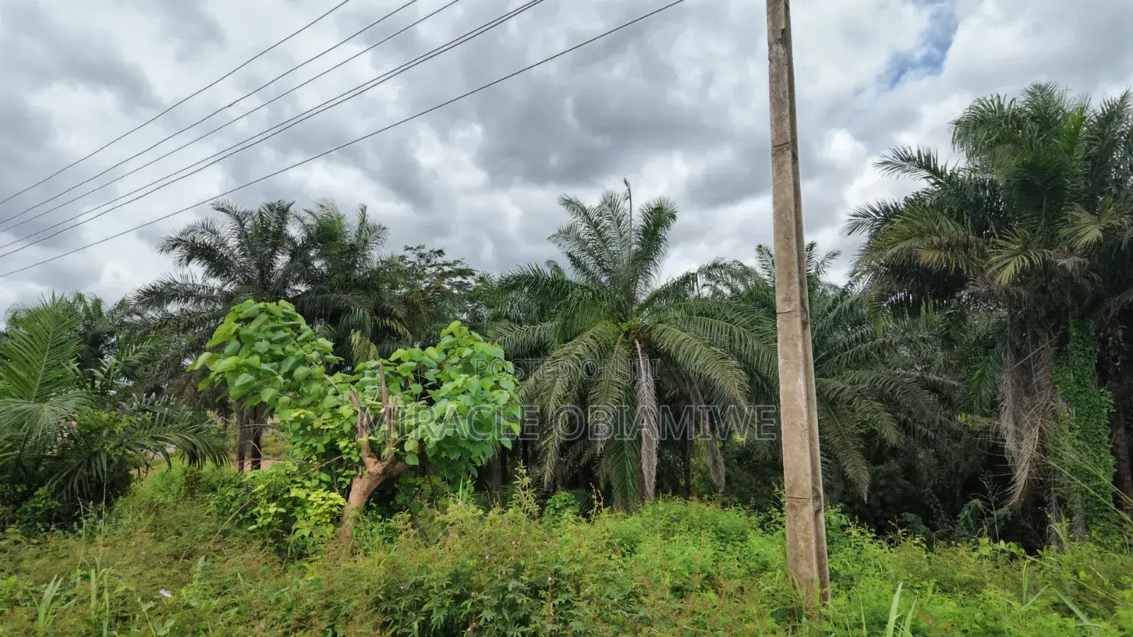 58 Plots of Land for Sale Umuahia Abia State