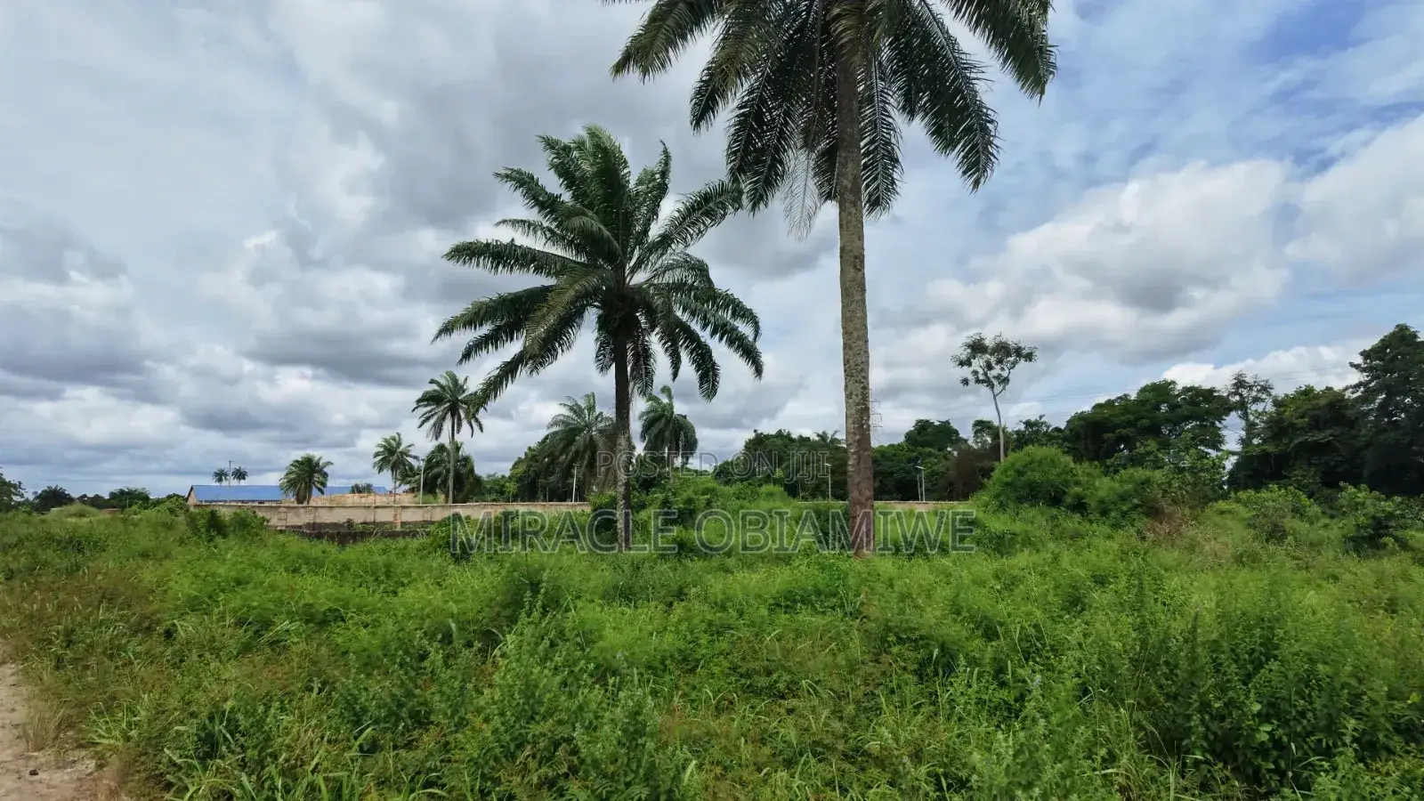8 Plots of Land for Sale Umuahia Abia State