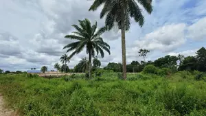 8 Plots of Land for Sale Umuahia Abia State