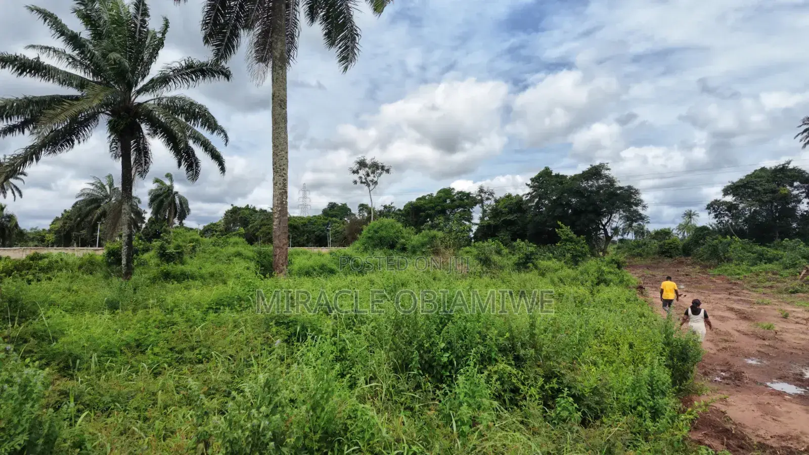 8 Plots of Land for Sale Umuahia Abia State