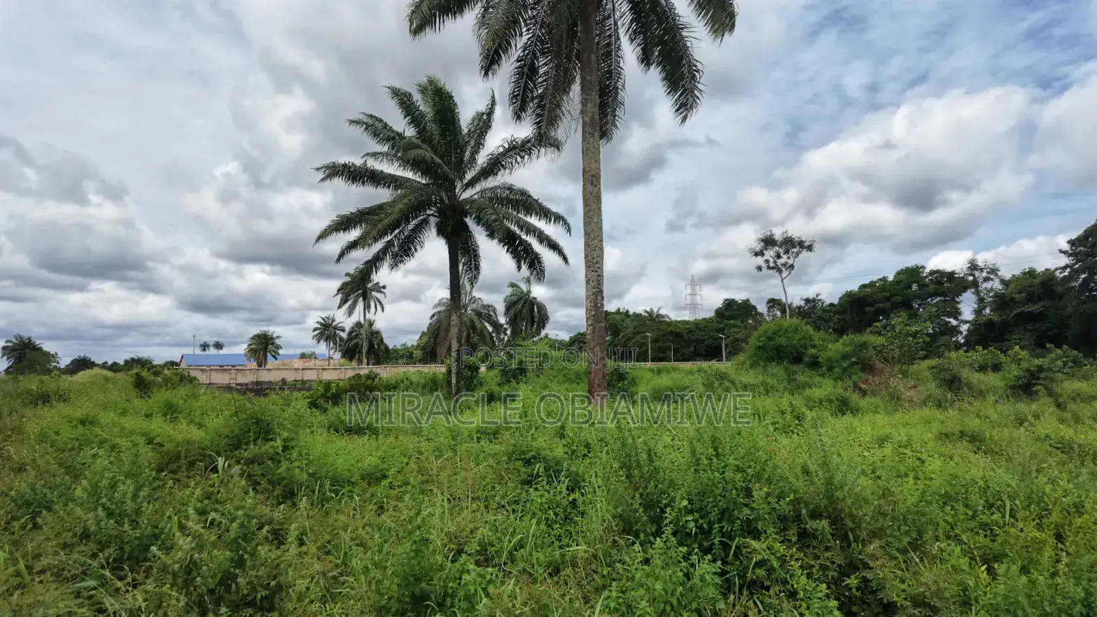 8 Plots of Land for Sale Umuahia Abia State