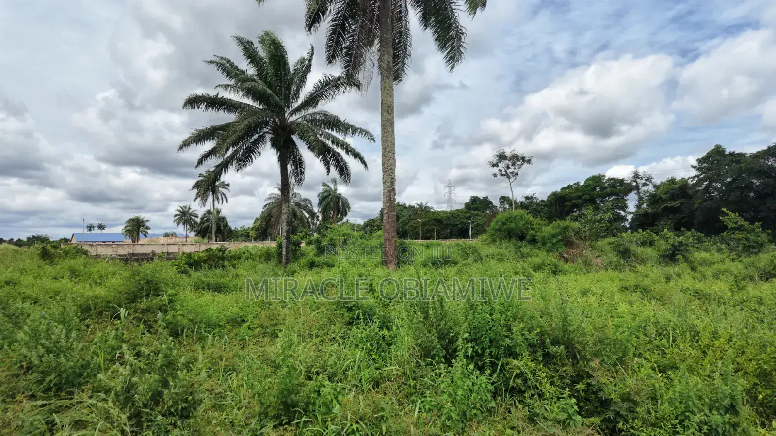 8 Plots of Land for Sale Umuahia Abia State