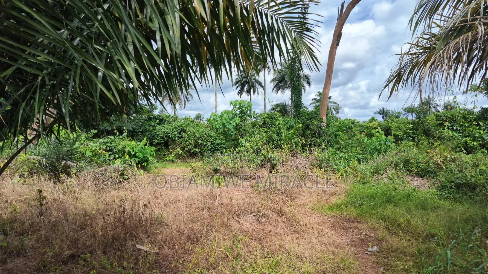 1 Plot of Land Available Umuahia Abia State