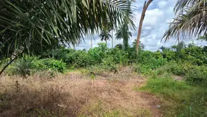 1 Plot of Land Available Umuahia Abia State