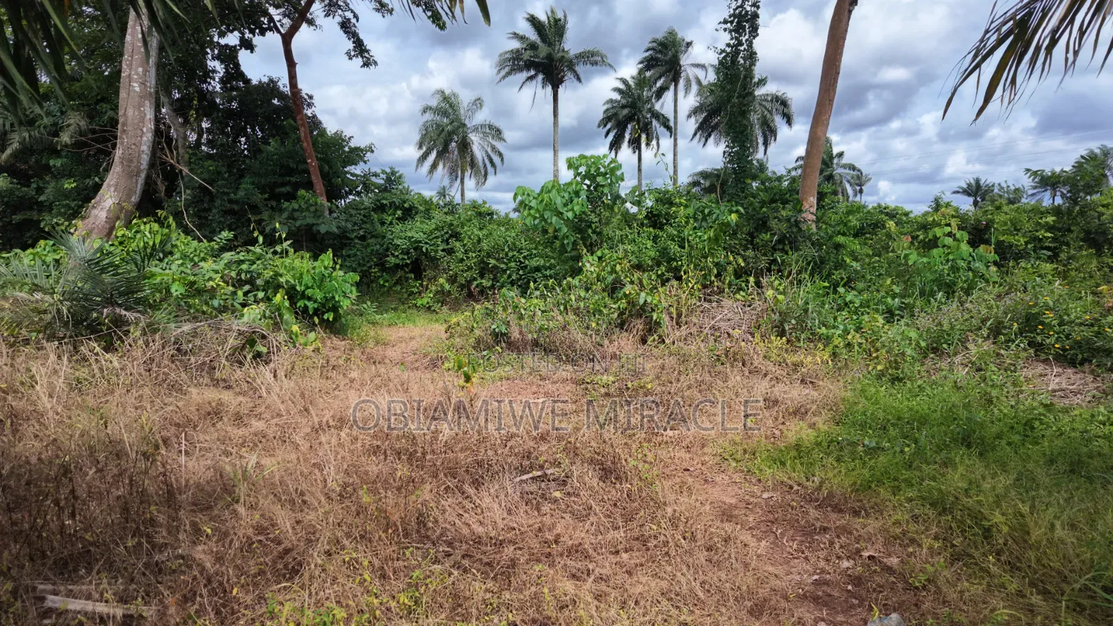 1 Plot of Land Available Umuahia Abia State
