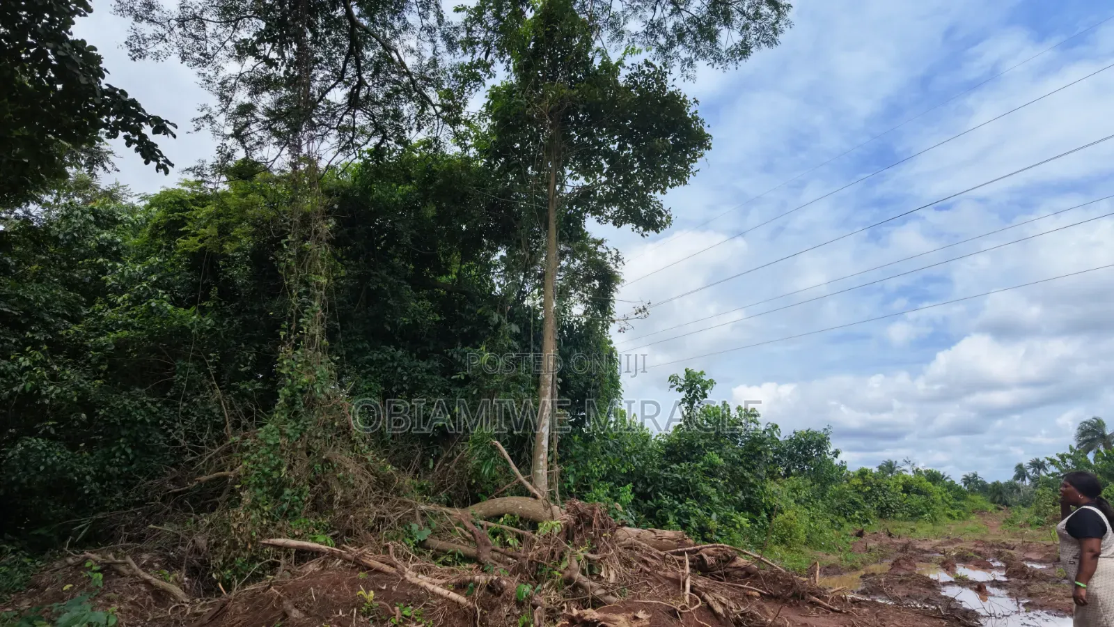 1 Plot of Land Available Umuahia Abia State