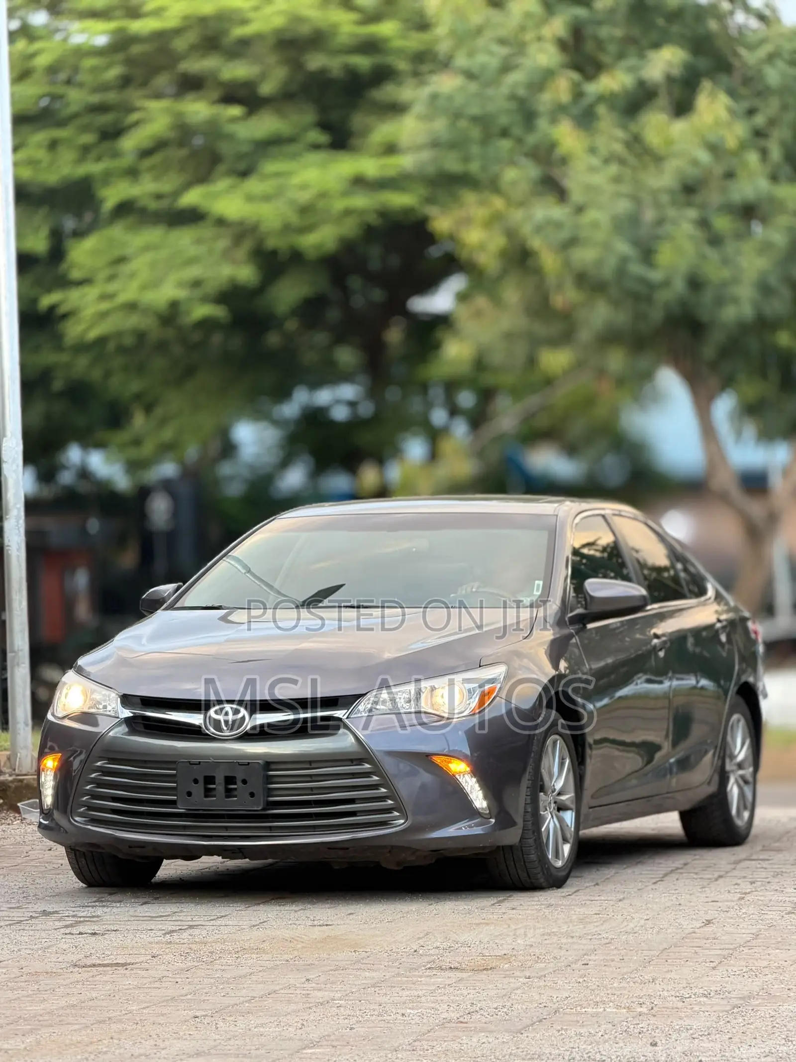 Toyota Camry XLE 4dr Sedan (2.5L 4cyl 6A) 2016 Gray