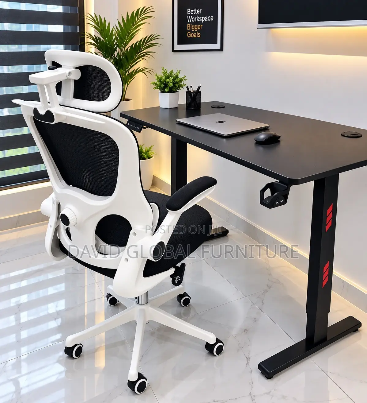 Premium Electric Standing Desk and Chair