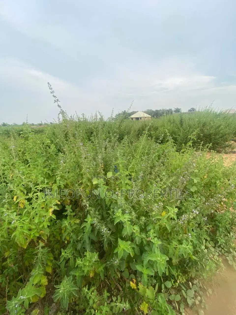 Filling Station Land for Sale in Chikakore Kubwa at Government Layout