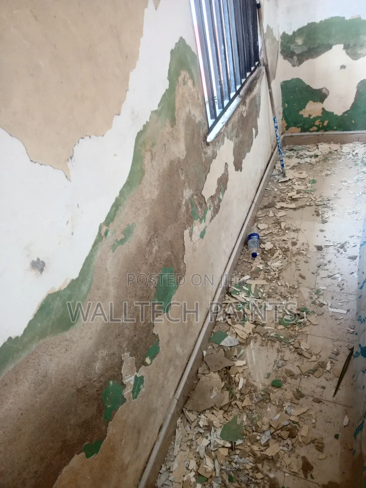 Damp and Wall Treatmemt