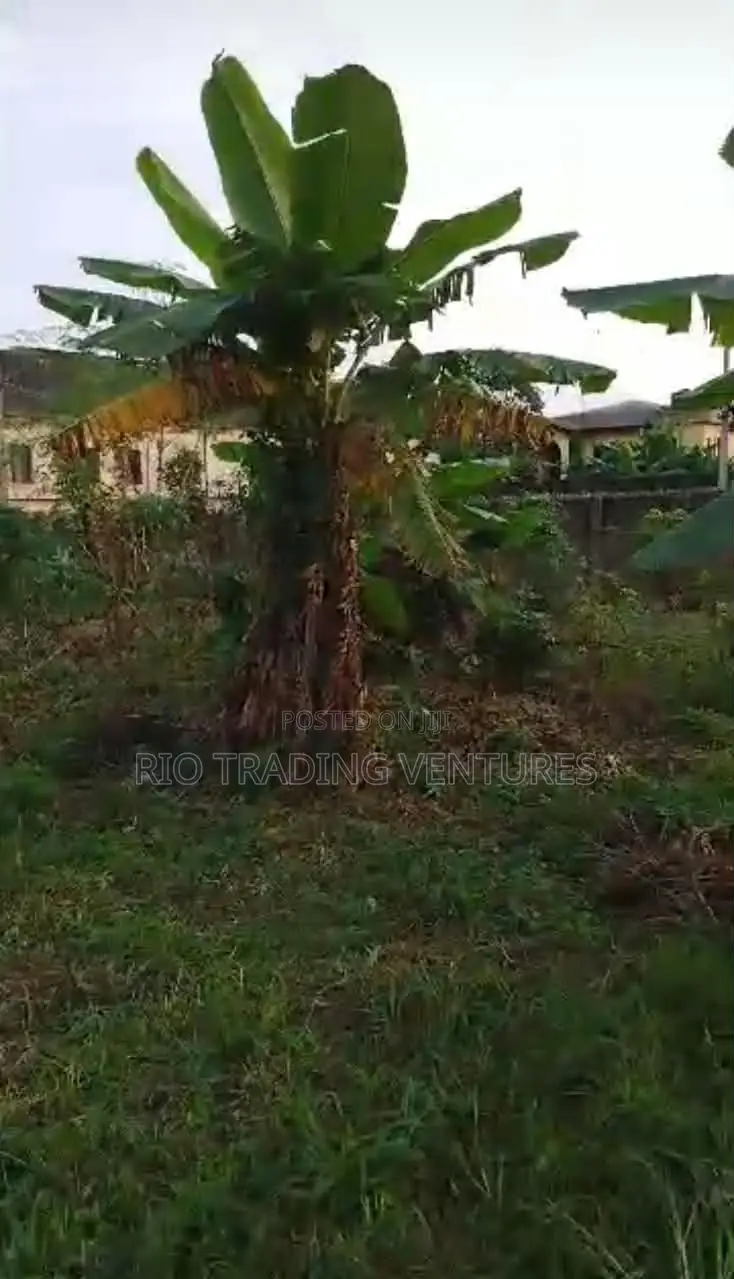 4 Plots of Fenced Land for Sale in Akute Road –Behind Zenith Bank
