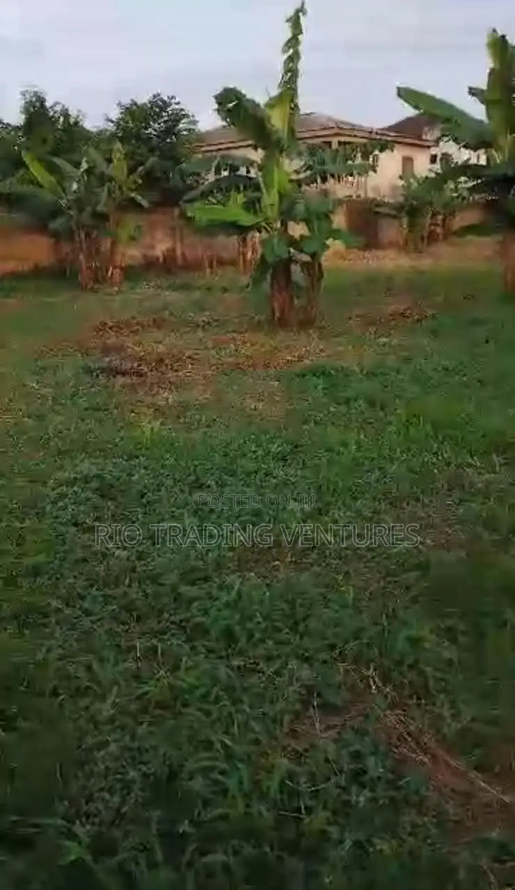 4 Plots of Fenced Land for Sale in Akute Road –Behind Zenith Bank