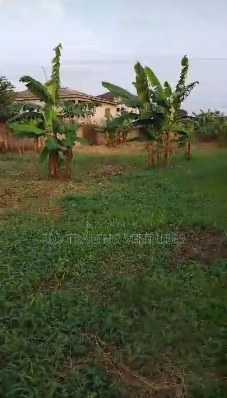 4 Plots of Fenced Land for Sale in Akute Road –Behind Zenith Bank