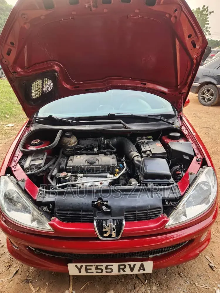 Peugeot 206 2004 Red
