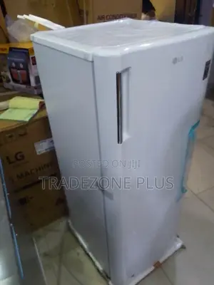 LG GN-304SQBR 168L Freezer – Large Storage Space