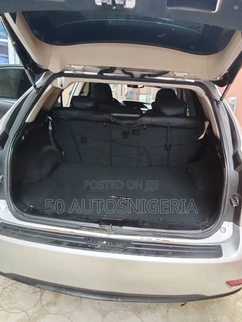 Lexus RX 2010 Silver