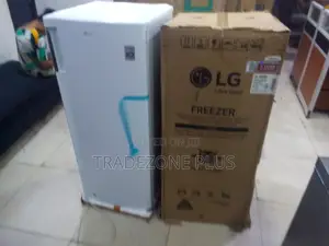 LG GN-304SQBR 168L Standing Freezer – Available Now