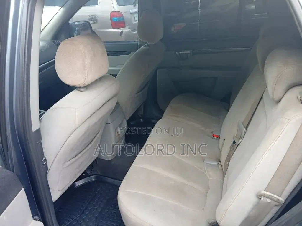 Hyundai Santa Fe 2009 Gray