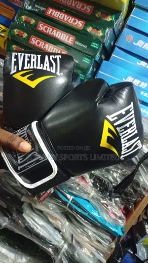 Everlast Boxing Gloves