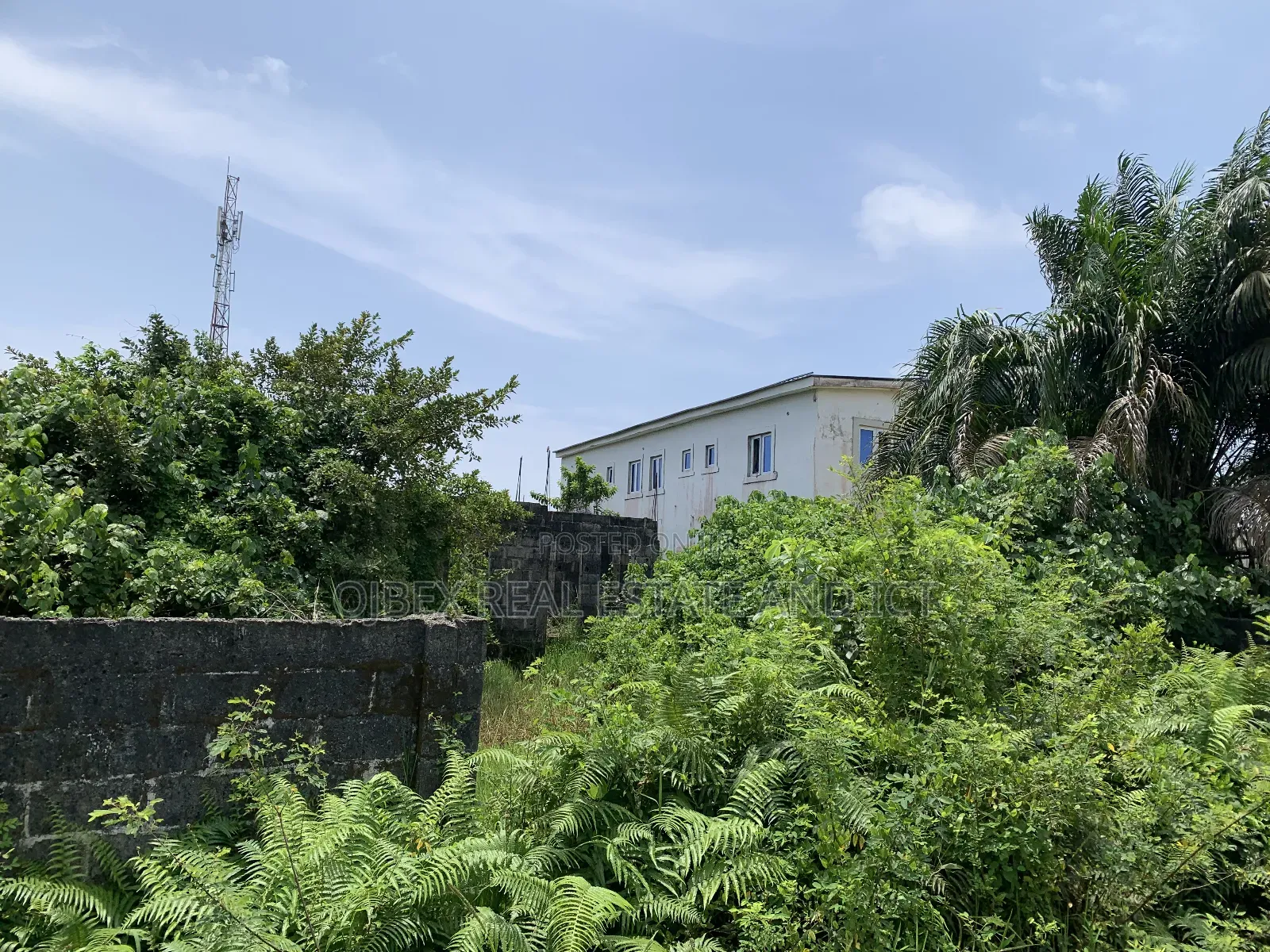 Full Plot of Land